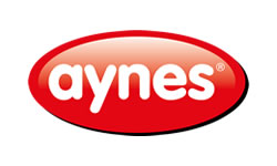 Aynes